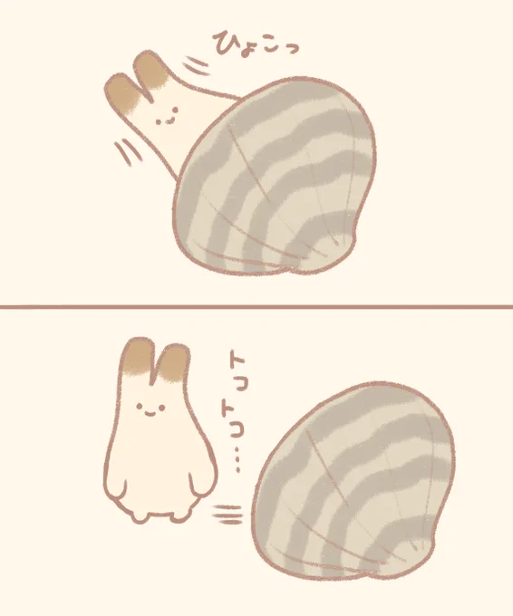 あさりもどき 