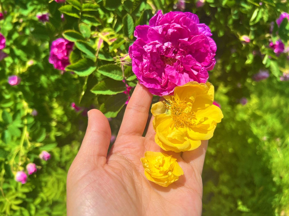 #Qers #QaxIzman #Welat