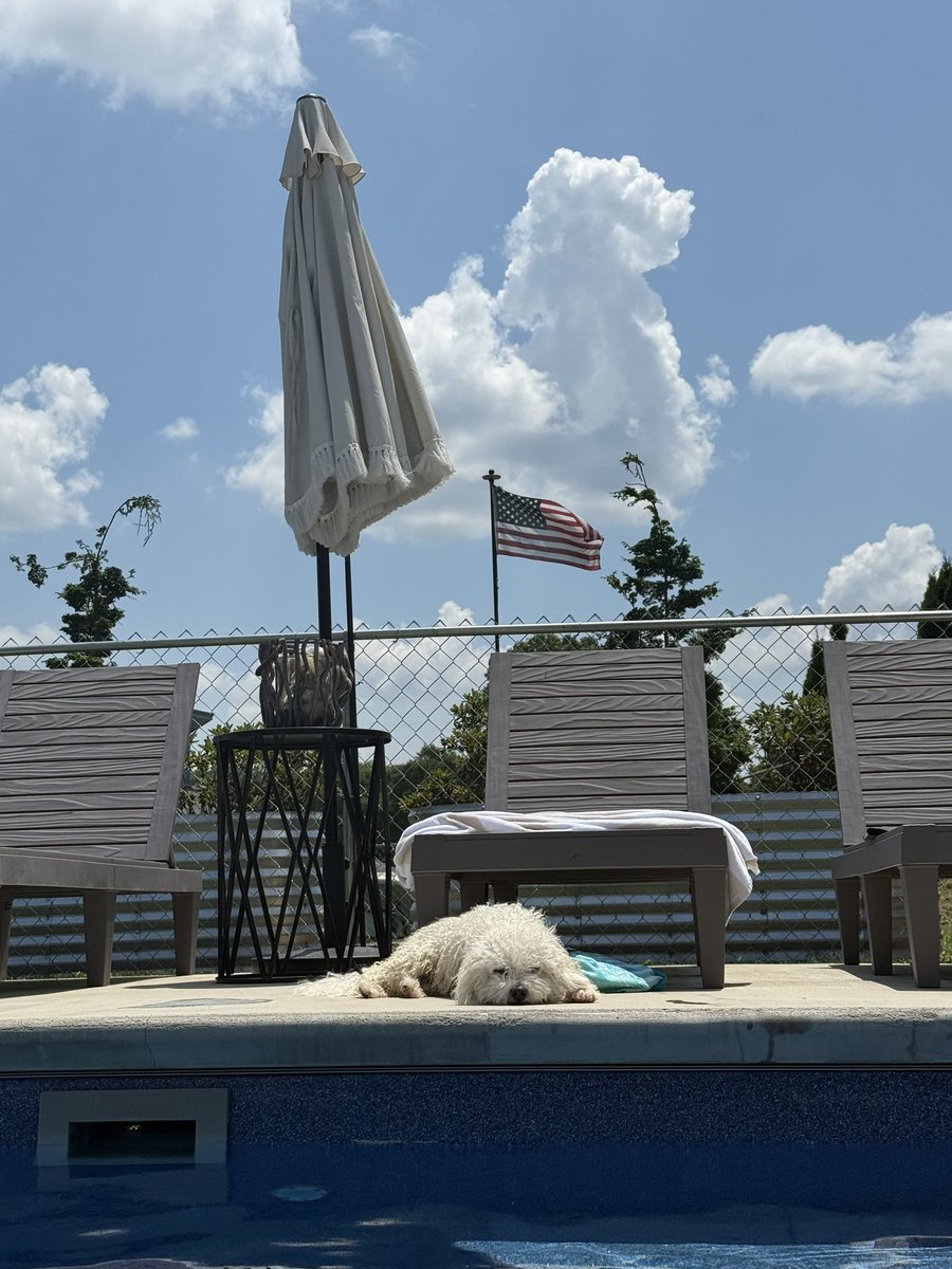LAFFrye's tweet photo. Tucker says Happy Independence Day! https://t.co/xInpJ07zVa