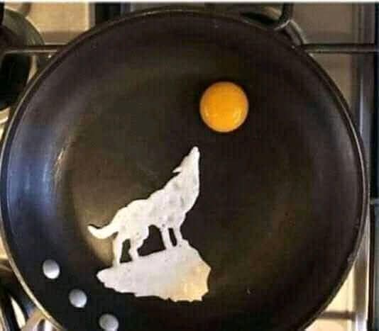 عندما يبدع الطاهي .