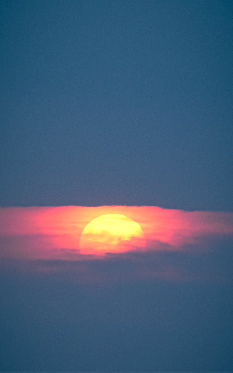 Sinat Savier tweet media