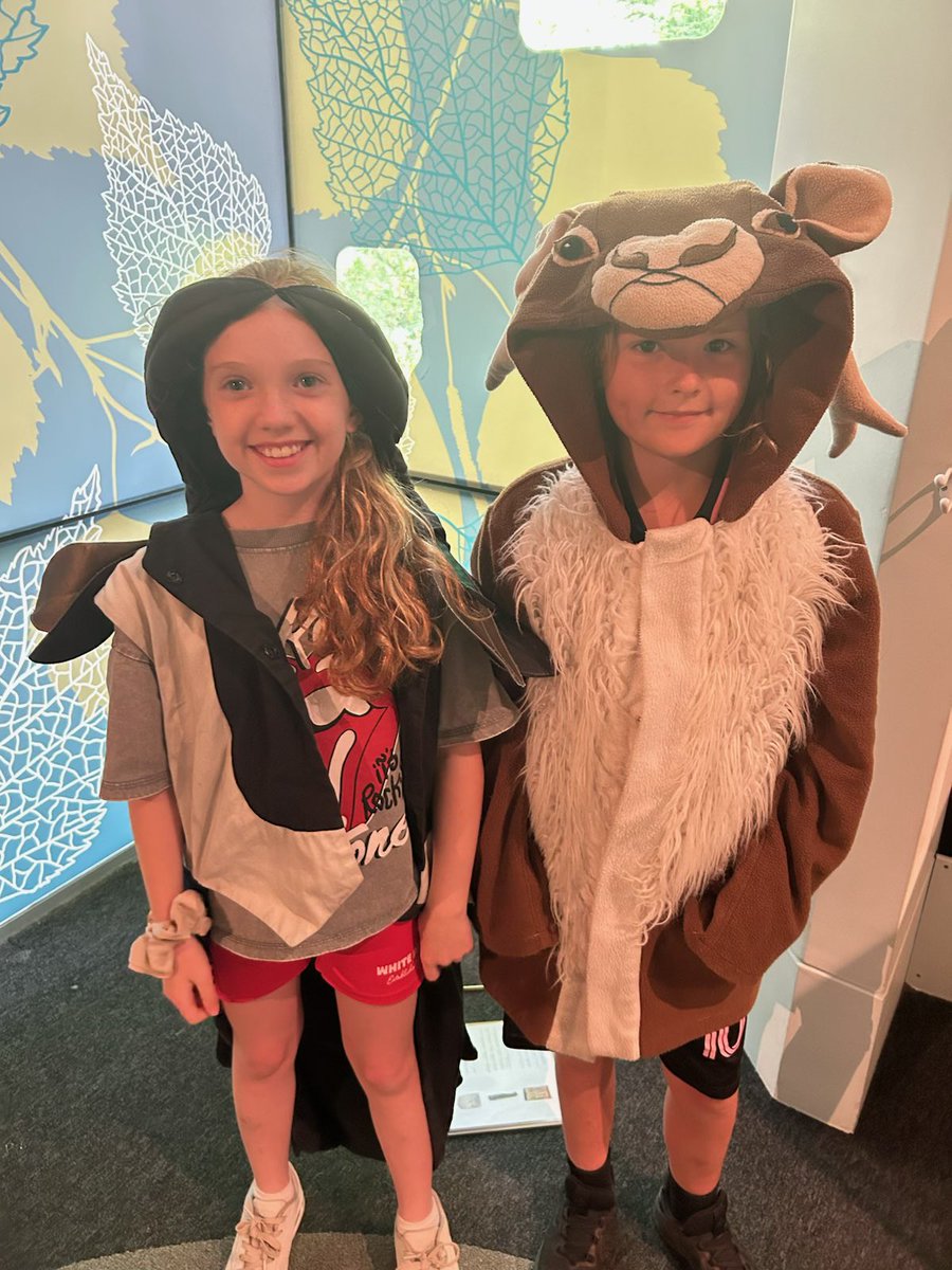 Richmond Hill PA tweet media