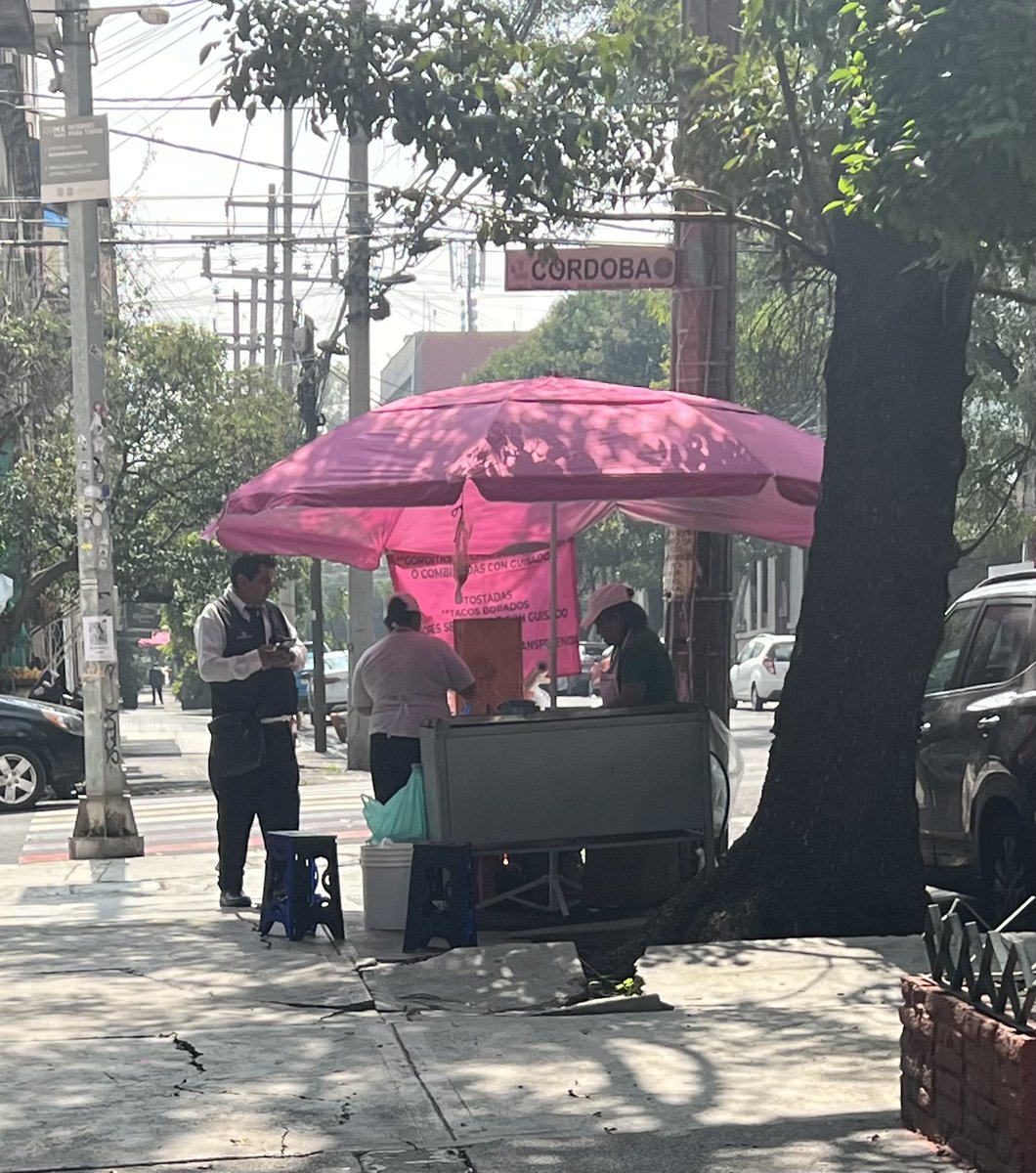 <a href="/erikayazminrg/">ErikaRg</a> <a href="/AlcCuauhtemocMx/">Alcaldía Cuauhtémoc</a> <a href="/obdulioA/">Obdulio Ávila Mayo</a> <a href="/AlessandraRdlv/">Alessandra Rojo de la Vega</a> <a href="/quetzal_cm/">Quetzal Castro</a> Este apareció esta mañana en un sitio donde jamás ha habido comercio en vía pública : CÓRDOBA ESQUINA ZACATECAS,ROMA NORTE. Por favor apoyo.