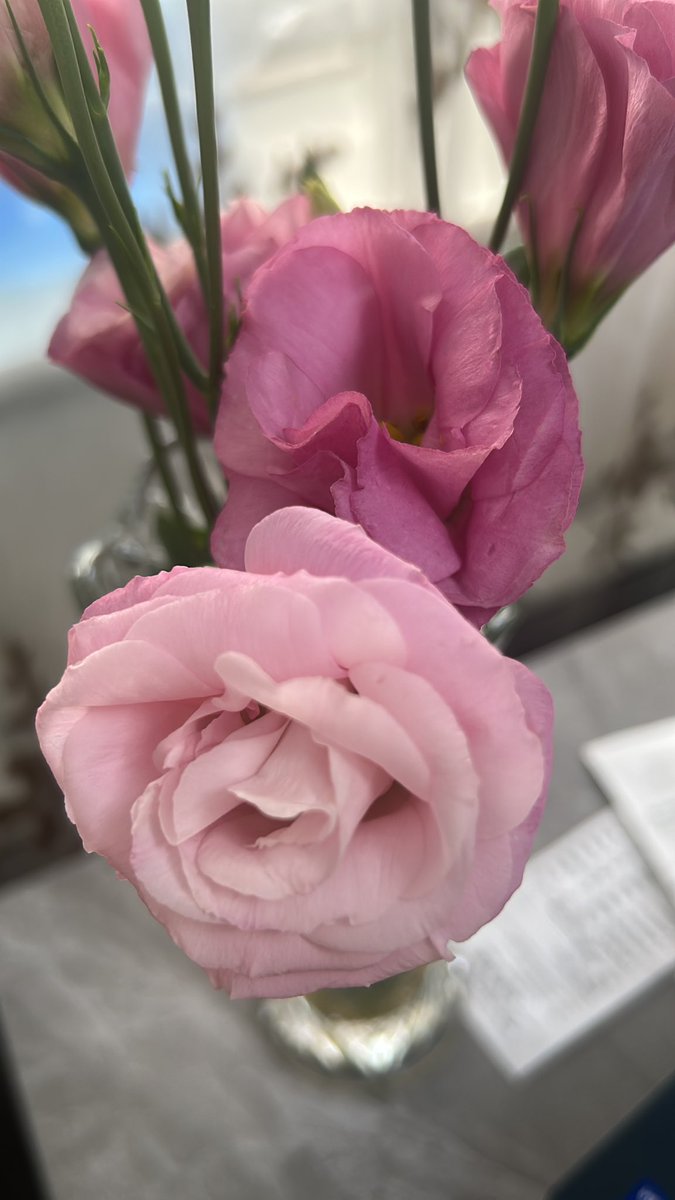 Өөртөө үе үе цэцэг авнаа ...