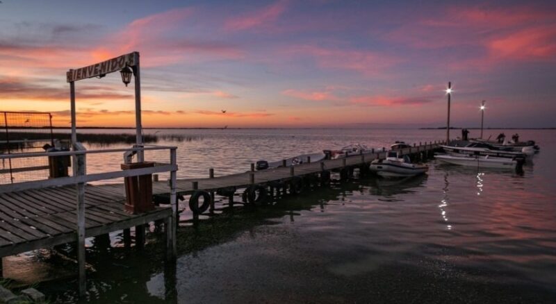 criterioonline.com/2025/07/genera…