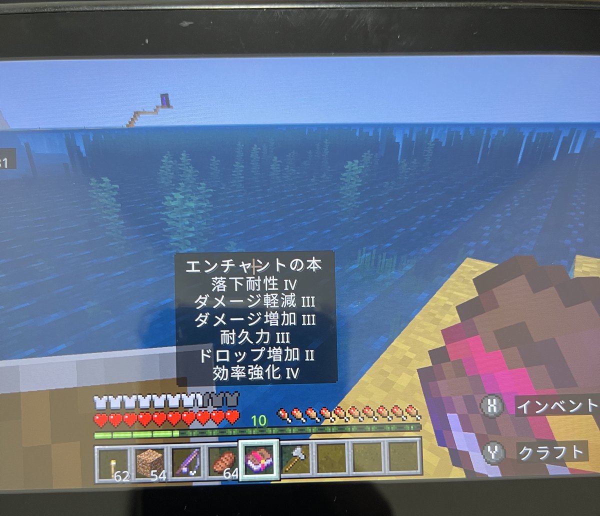 clvsssssssi's tweet photo. マイクラ🔰で初めて釣り竿にエンチャントつけて釣ってたら、このエンチャ本釣れたんだけど何につけたらいいと思う…？防具？剣？ツルハシ？有識者help https://t.co/XC64gTzcxO