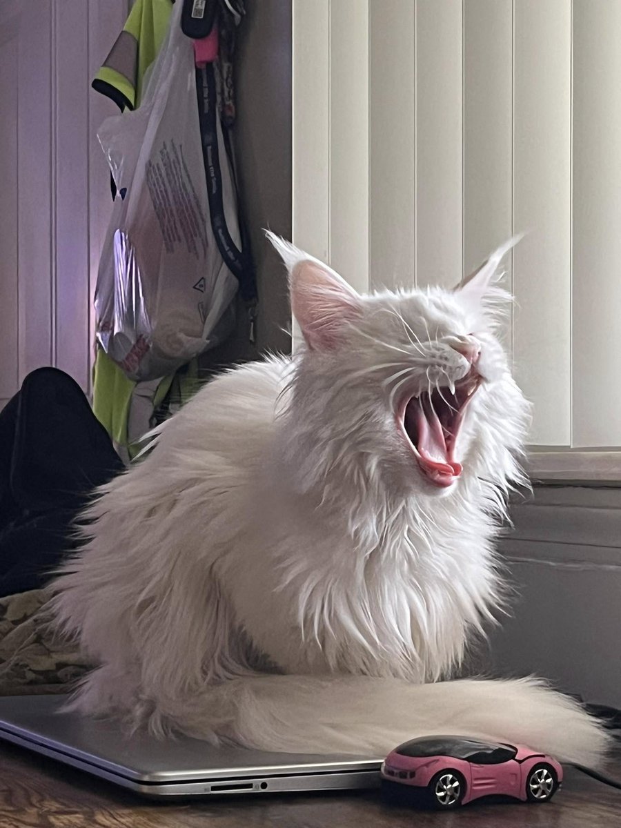 Dima wishes everyone a happy 4th of July