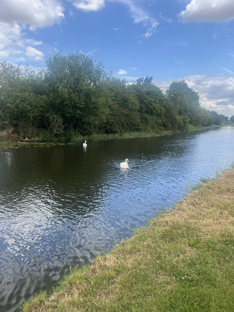 Community Physical Health & Wellbeing Team (@communityphysi1) on Twitter photo Walking in nature is beneficial for mental health. Spending time outdoors, especially in natural settings, can reduce stress, improve mood, and lower the risk of anxiety and depression. <a href="/rdash_nhs/">RDaSH NHS FT</a> Walking in nature is beneficial for mental health. Spending time outdoors, especially in natural settings, can reduce stress, improve mood, and lower the risk of anxiety and depression. <a href="/rdash_nhs/">RDaSH NHS FT</a>