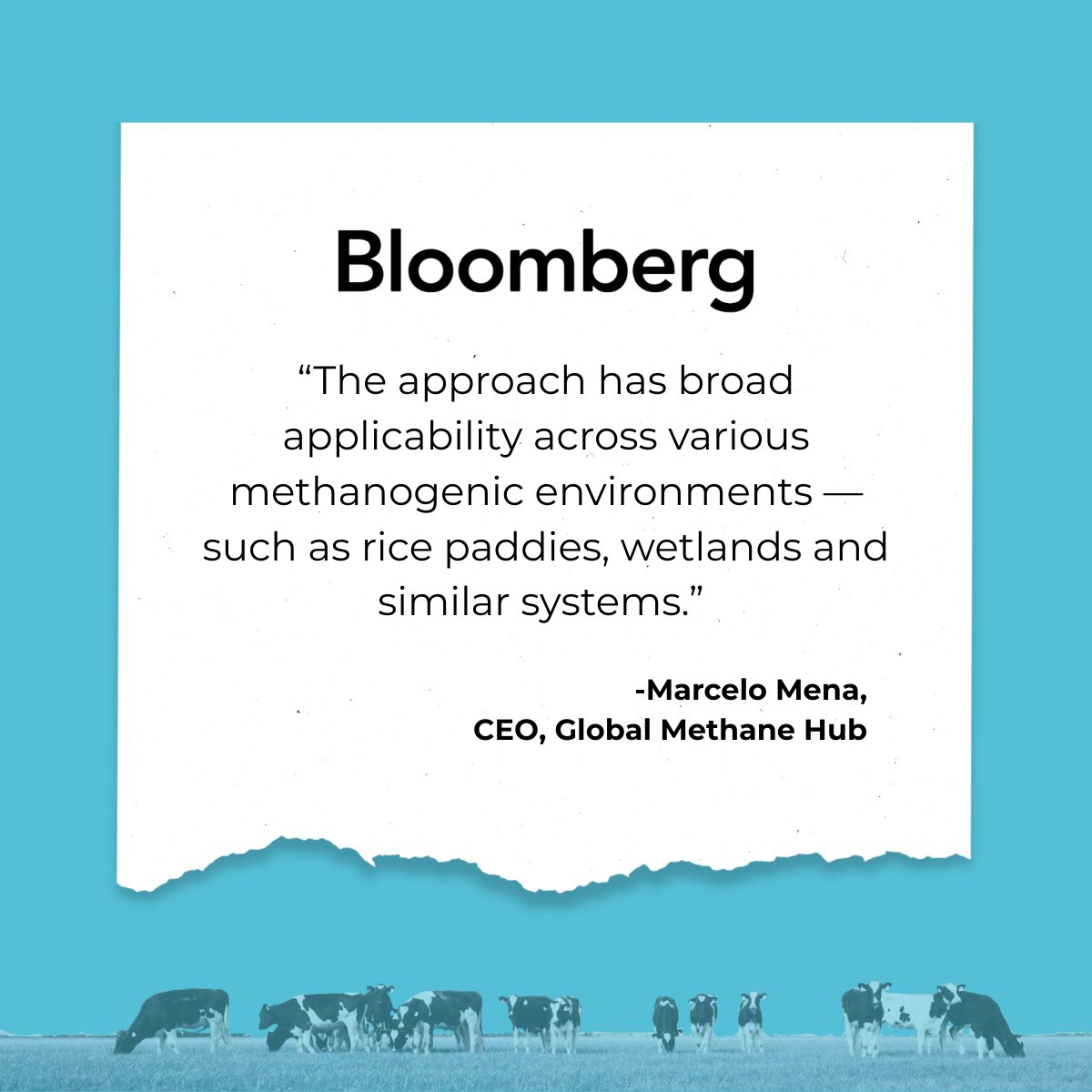 Promising approach to methane reduction on NZ dairy farms 🐄💨

A common wastewater treatment cuts emissions by 90%+ — with potential to scale.

🌍 “Broad applicability across rice paddies, wetlands and similar systems,” says @MarceloMena of GMH.

🔗 More: bit.ly/3TQUkcS