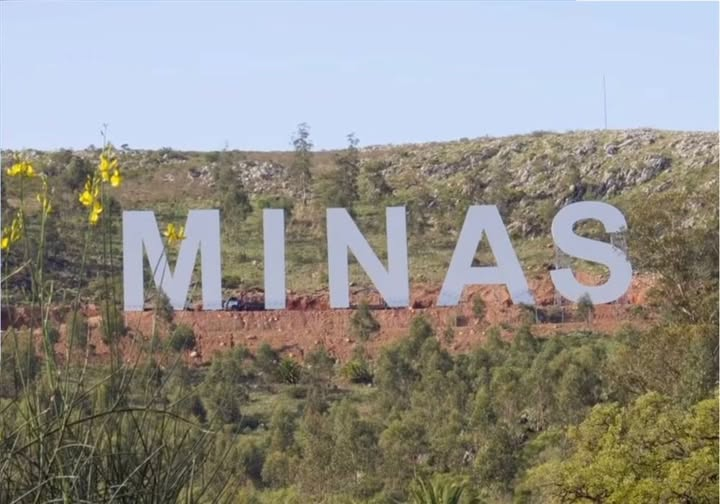 Maby 🌱 tweet media