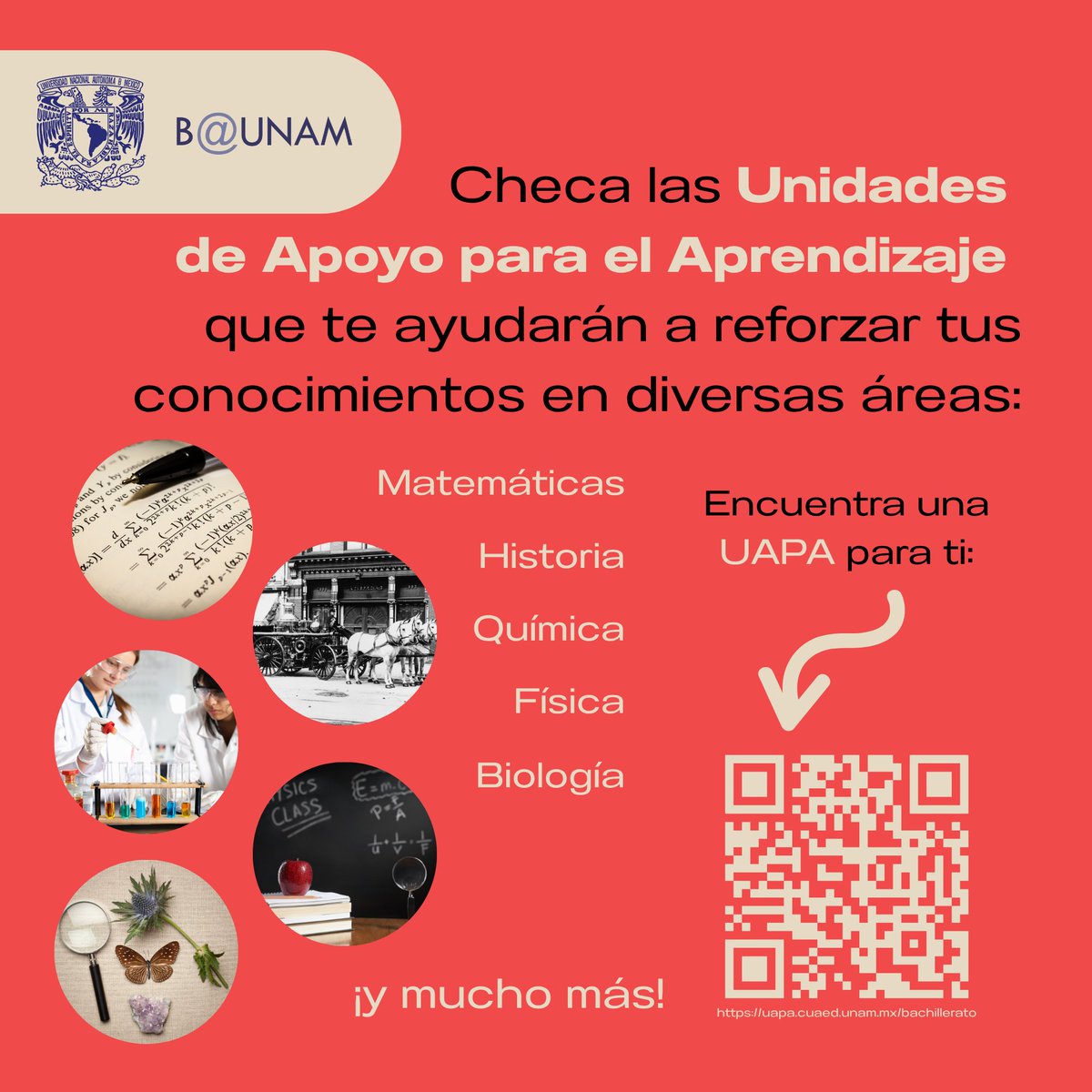 🤓¿Tienes unos minutos para checar las UAPA de Bachillerato?

📱?Encuentra unidades de apoyo para el aprendizaje de todas las materias: 

Inglés, Biología, Matemáticas, Artes, Lógica, Química,... ¡y mucho más!
🔗Sigue la liga: uapa.cuaed.unam.mx/bachillerato

#UNAM #EducaciónADistancia