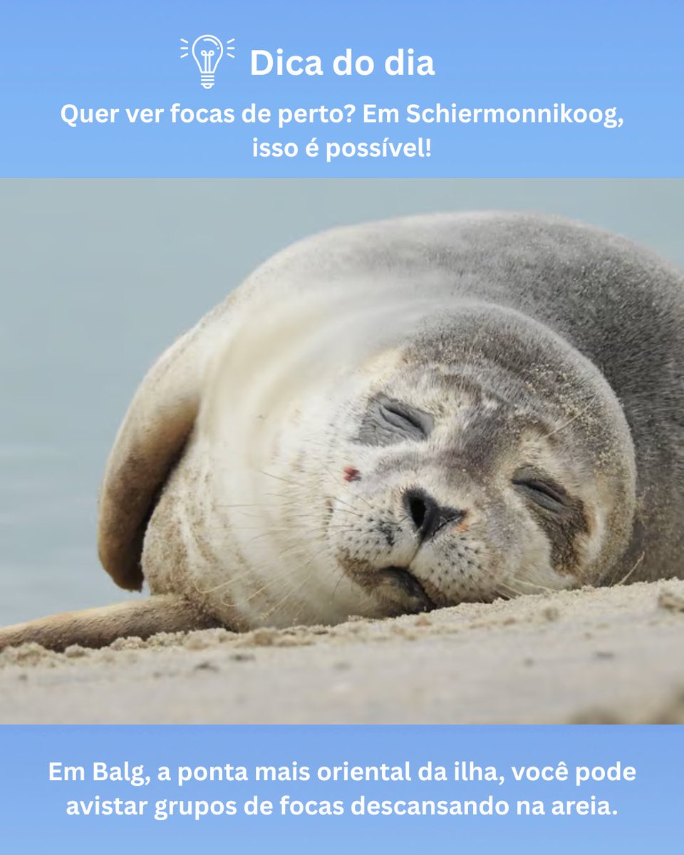 5 sextas, 5 tesouros escondidos. Vamos conhecer os 🇳🇱 juntos?

Esta semana: a natureza intocada de Schiermonnikoog! Você já conhece essa ilha no mar de Wadden?

#DicaDeViagem #VisitNetherlands #NLinBrasil <a href="/Visit_NL/">Visit Netherlands</a> <a href="/MinBZ/">Ministerie van Buitenlandse Zaken</a>