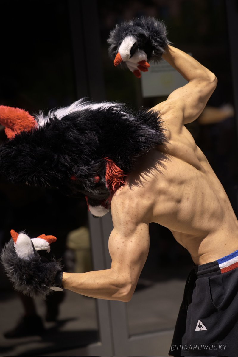 #FursuitFriday and #FlexFriday

📸 <a href="/HikaruWusky/">HikaruWusky</a> taken at CSD

#gymfur #FitnessFur #shredded