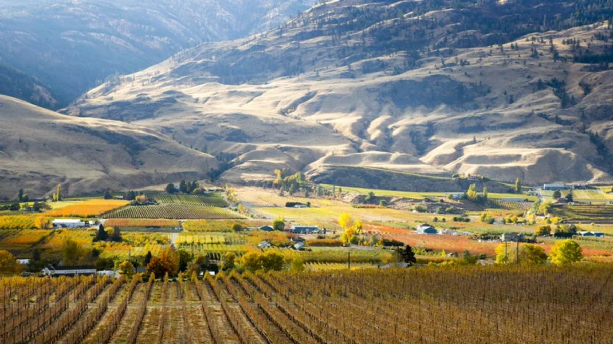 Summer in BC wine country is a magical time. Its great to see another wonderful itinerary for the south Okanagan Valley shared on Islands.com

Read more 👇 
islands.com/1895880/wine-c…

<a href="/BurrowingOwlBC/">Burrowing Owl Winery</a> <a href="/HesterCreek/">Hester Creek Estate Winery</a> <a href="/BCWine/">Wines of British Columbia (BC VQA)</a>