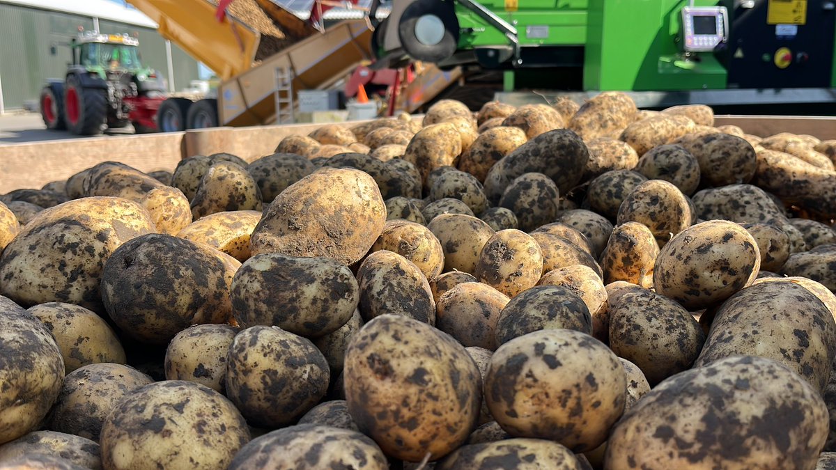 Sjoerd Heestermans tweet media