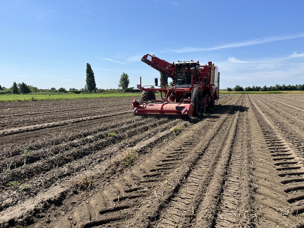 Sjoerd Heestermans tweet media