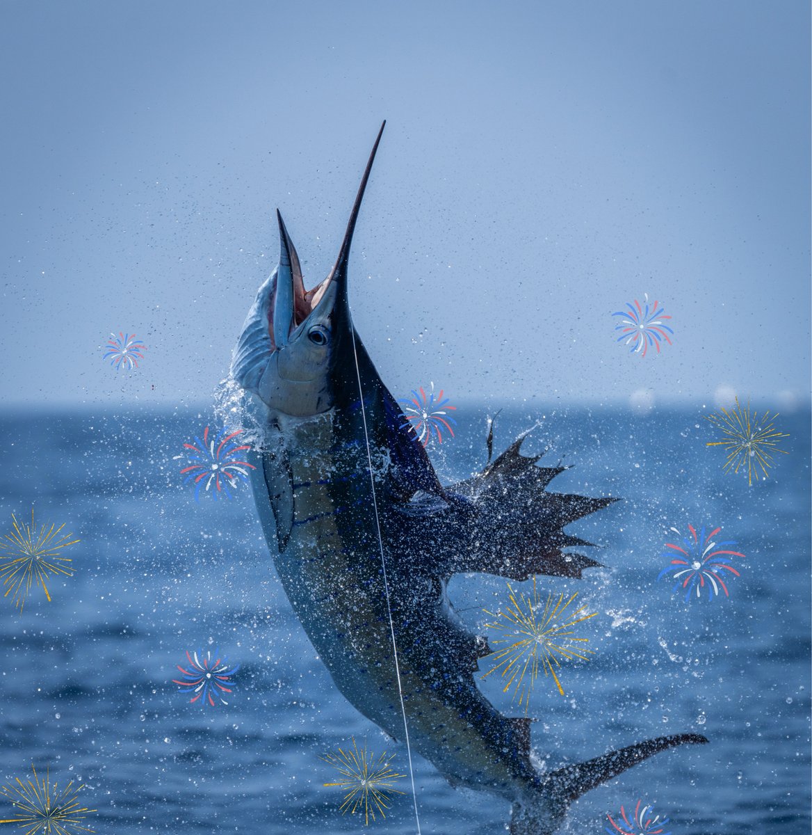 The best kind of fireworks? The ones that sparkle off the water ✨🎆

Happy 4th of July, anglers! Stay safe on and off the water today! 🇺🇸

📸— @photobymatildaleijon / <a href="/matildaleijon/">Matilda Leijon</a> 

#casaviejalodge #guatemala #fishinglodge #sailfishinglodge #sailfishing #fourthofjuly🇺🇸