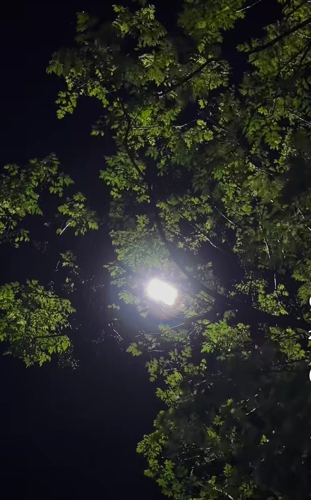 Good night X mates 💕 

See u tomorrow 😴💕🌌