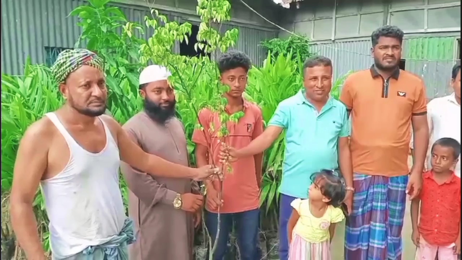 হোসেনপুরে চাচা-ভাতিজার বৃক্ষরোপণে গ্রামীণ প্রকৃতিতে নতুন মাত্রা