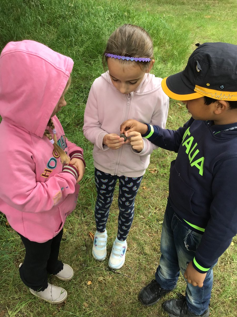 stjosephshx3's tweet image. Today EYFS and Years 1 and 2 went to Nell Bank. We had the BEST DAY ever!!