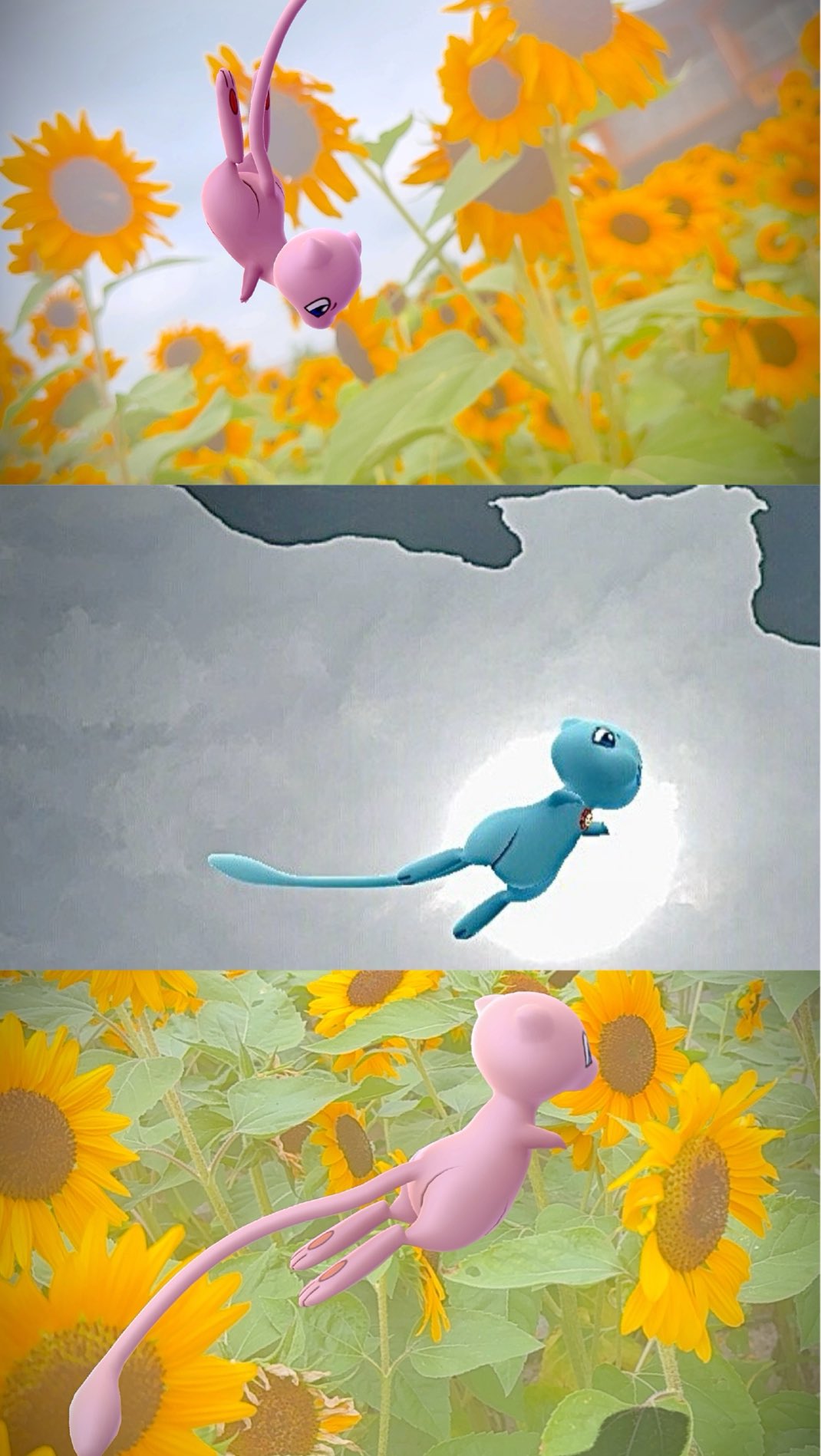 ミュウ - Search / X