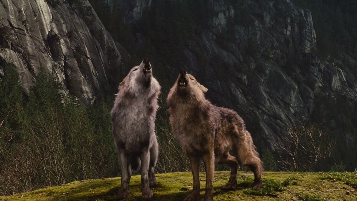 that's literally twilight