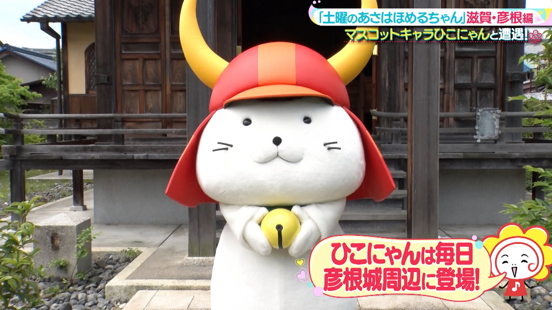ひこにゃん⸜(* ॑꒳ ॑* )⸝様 信楽焼 ひこにゃん | xxx疾風のおもちゃ匣xxx