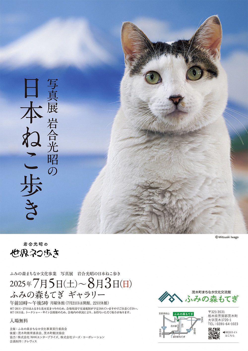 岩合光昭 ねこ展 オリジナルマスキングテープ 岩合光昭 ねこ展 オリジナルマスキングテープ 画像】岩合光昭 ね