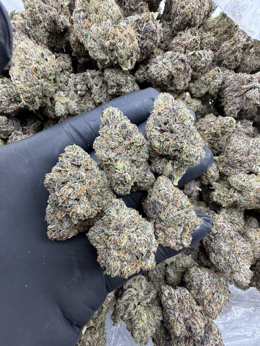 Smacking420's tweet image. SR 77
License designer indoor

400
750
1400