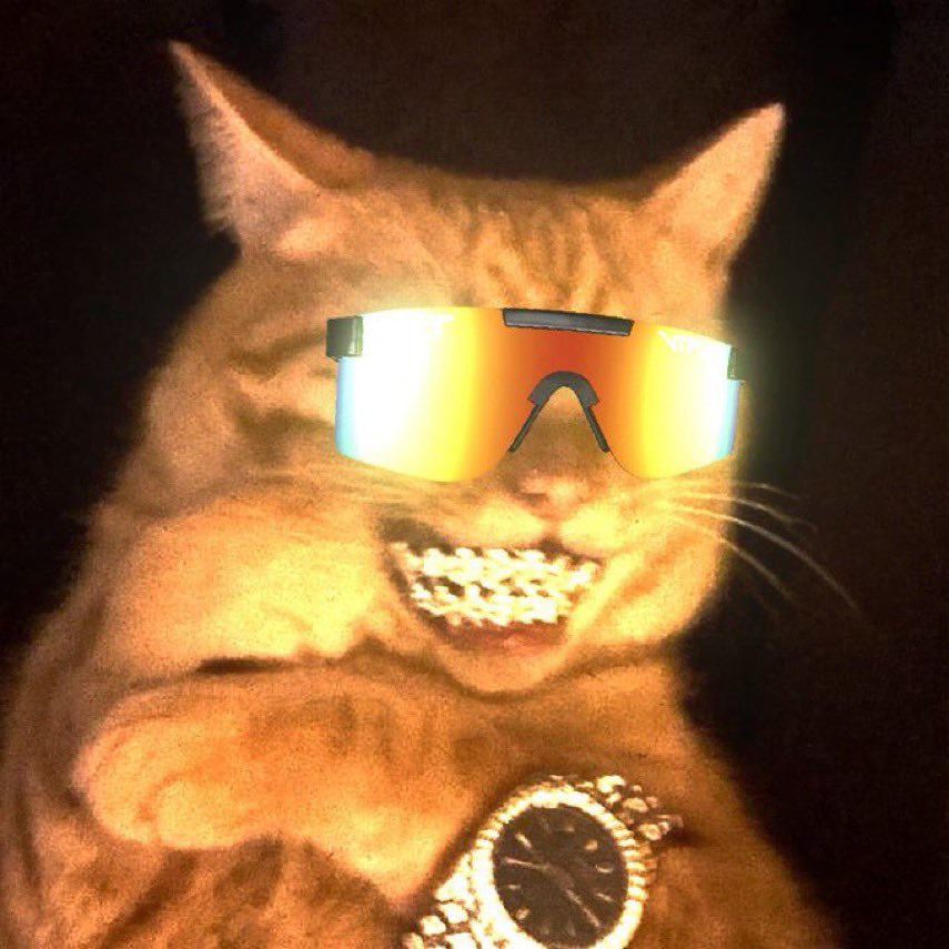 ohheyitsmitch's tweet photo. @buyinglower @VoldiemortEth Max bidding #mogmode https://t.co/kXQ4RLJGSF