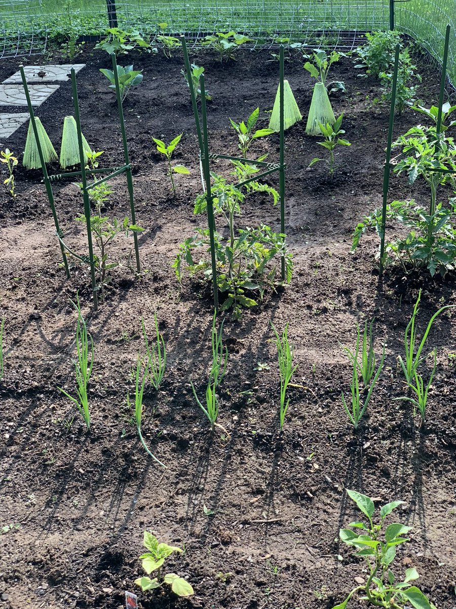 imTweenk's tweet image. I really got my whole family on some gardening shit 🤞🏾