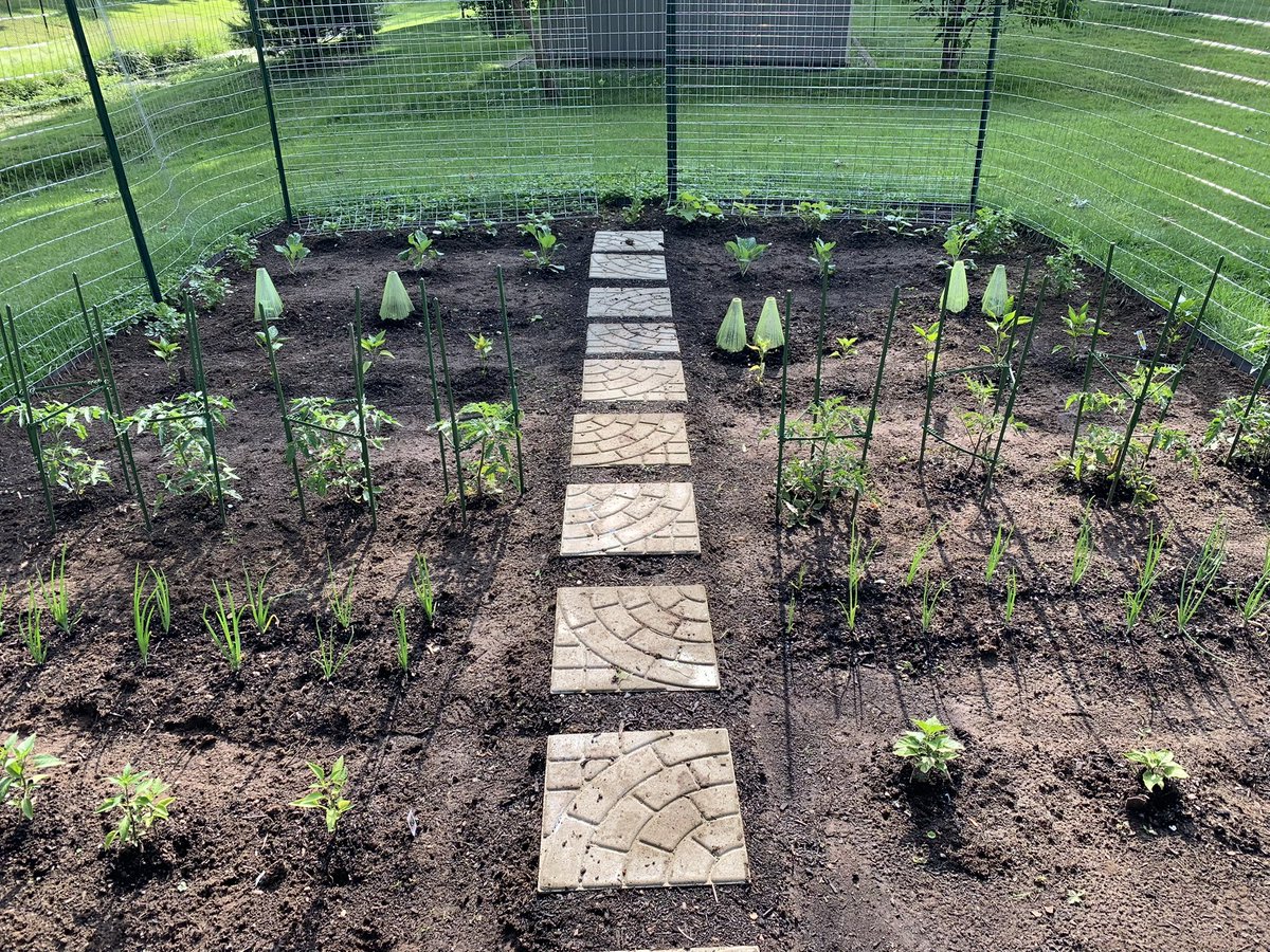 imTweenk's tweet image. I really got my whole family on some gardening shit 🤞🏾