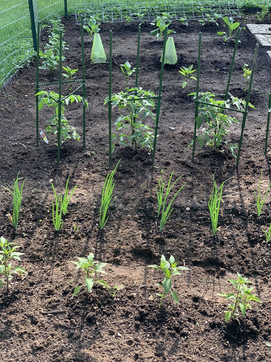 imTweenk's tweet image. I really got my whole family on some gardening shit 🤞🏾