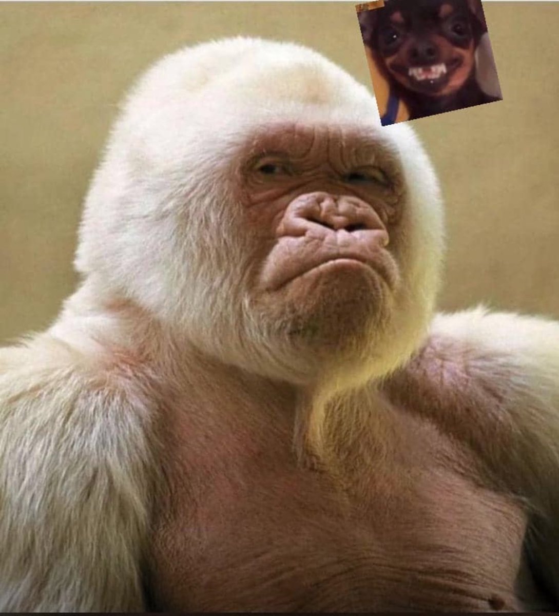 HR listening to you at the interview knowing they already chose their relative.