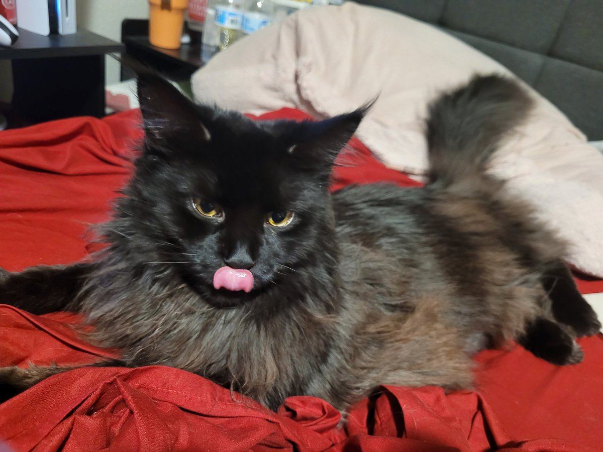 mayouncheese's tweet photo. and i thought she was puffy then.... https://t.co/sW8xTQmTu0