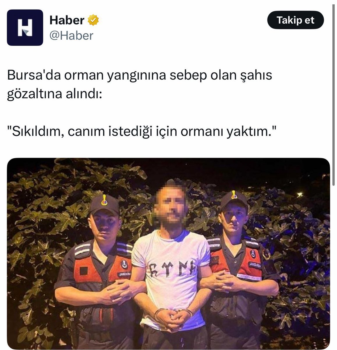 #Madımak’ta diri diri insan yakanlar “Kürtler orman yakıyor!” diye yaygara yapıyor. 
Bu oyuna gelmeyin. 
Ağaçların, çiçeklerin, insanların, halkların arasına ateş atıp yangın çıkaranlar soyundan bağımsız alçaktır! 
#izmir