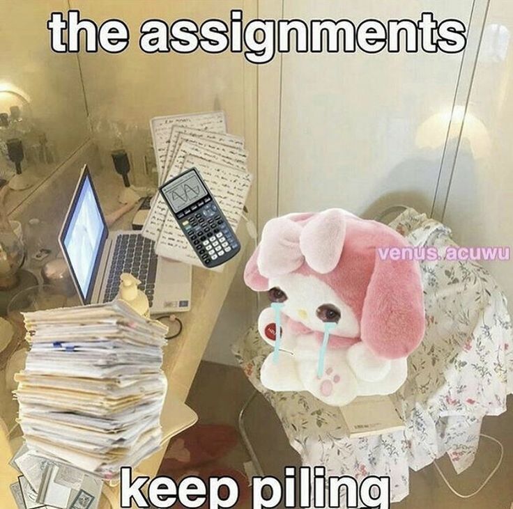 adorabledaily (@adorabledaiiy) on Twitter photo 