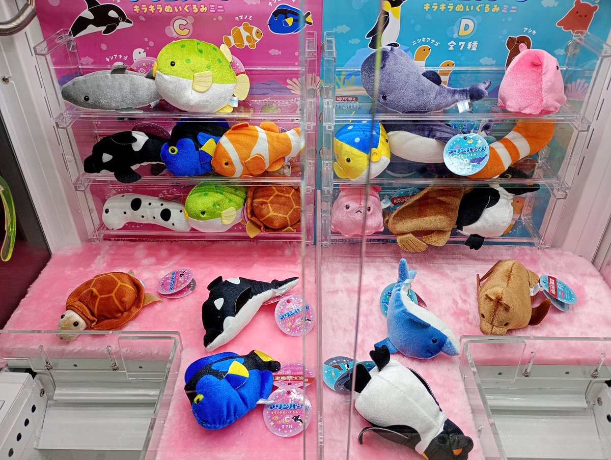 最新景品情報】 現在マリンパークキラキラぬいぐるみがラウンドワン