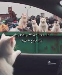 <a href="/abo_3maom/">ابو عمعمه #BeiN</a> والله حموضة: