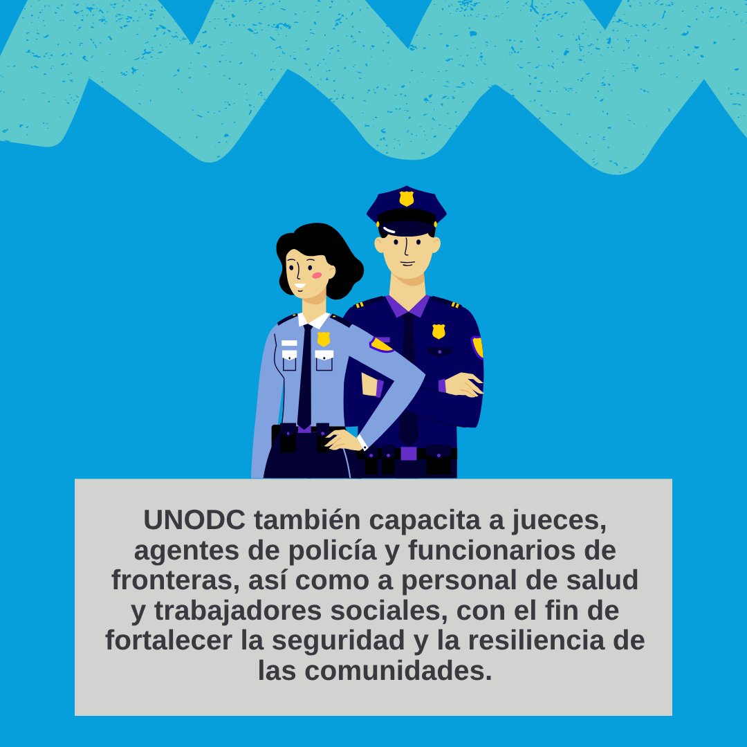 ¿Conoces la labor de la Oficina de las Naciones Unidas contra la Droga y el Delito❓
Conocida por sus siglas en inglés, UNODC, esta oficina es un líder mundial 🌎 en la lucha contra las drogas ilícitas y la delincuencia internacional.