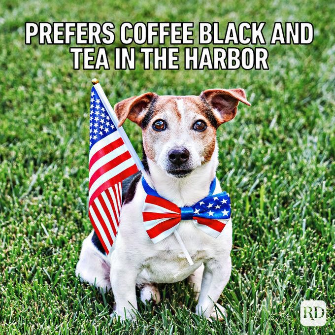 AleaforOH's tweet image. Happy Independence Day! If you are looking for a fighter to take on the harbor, I’m your woman! Aleaforcongress.com 🇺🇸