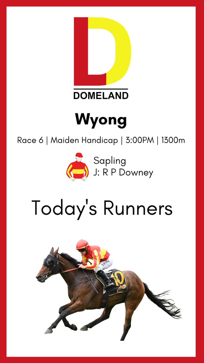 Domeland Racing (@domelandracing) on Twitter photo 
