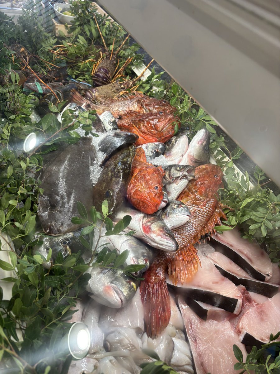 M'ko(ㅇㅅㅇ❀)draws tweet media