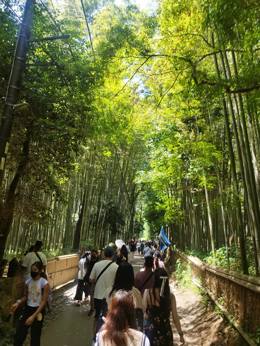 MattJF_'s tweet photo. Japan 2025 @namco_sugamo #Tokyo #Kyoto https://t.co/9kksixyZFV