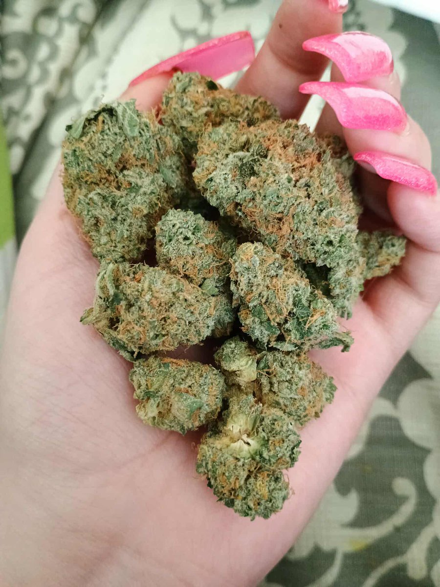 scum_void's tweet image. ☽𝒯𝒽𝒶𝓉  ᶻ𝒶𝒶 ☾

#thc #stoner #indica #stonergirl #cannabis #tattoos #piercings #acrylicnails #nailartist #longnails #90sbaby #adultcontent #alternative #onlyfans #altgirl  #girlswithtattoos #gothgirl #contentcreator #illinois #mentalillness #anxiety #sadgirl #pink #kush