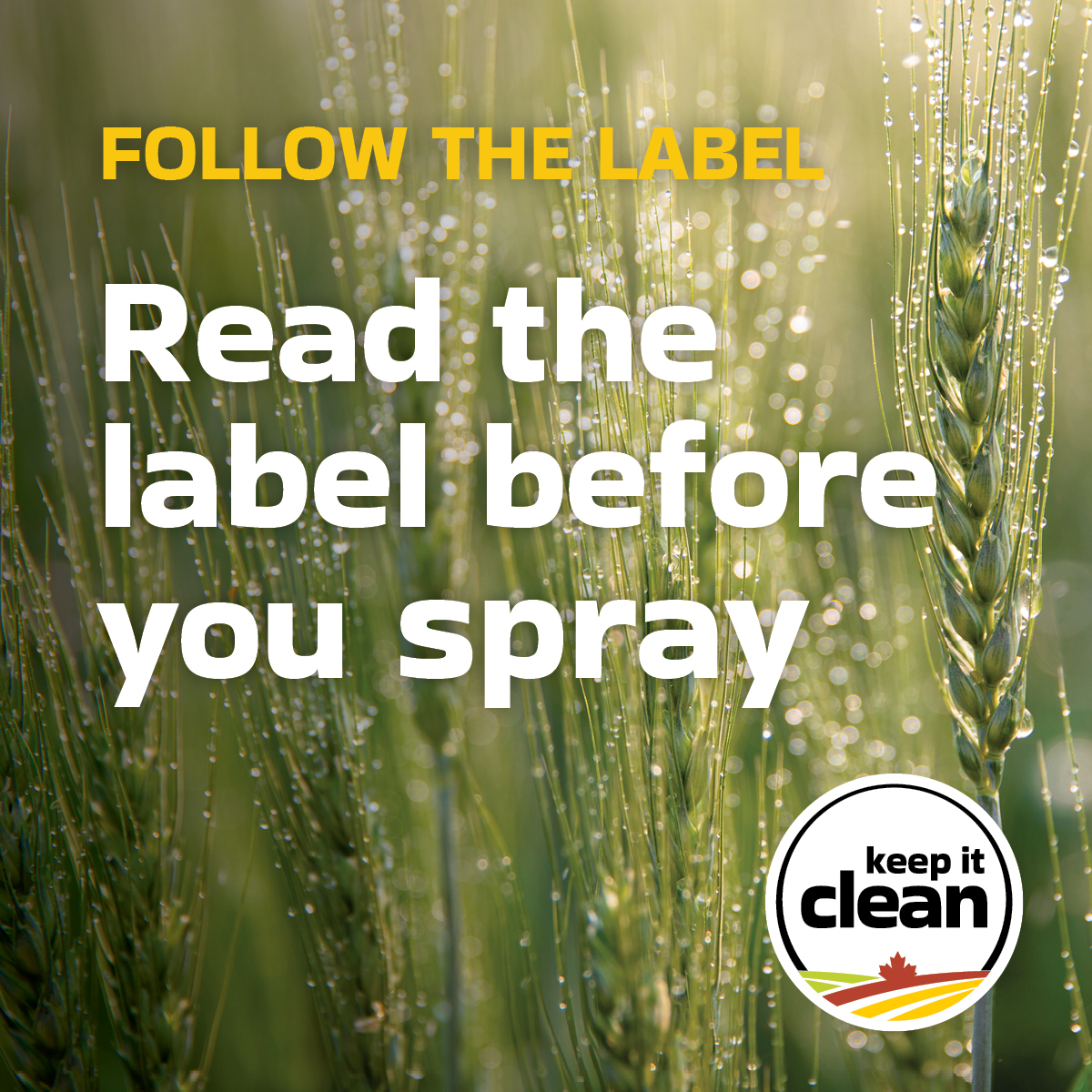 Off-label use of pesticides is illegal and may result in unacceptable product residues, putting market access at risk. Learn how spraying decisions keep your crops market ready and protect market access for all. Read more 👉 #CdnAg #SustainableCdnAg bit.ly/44tPBEx