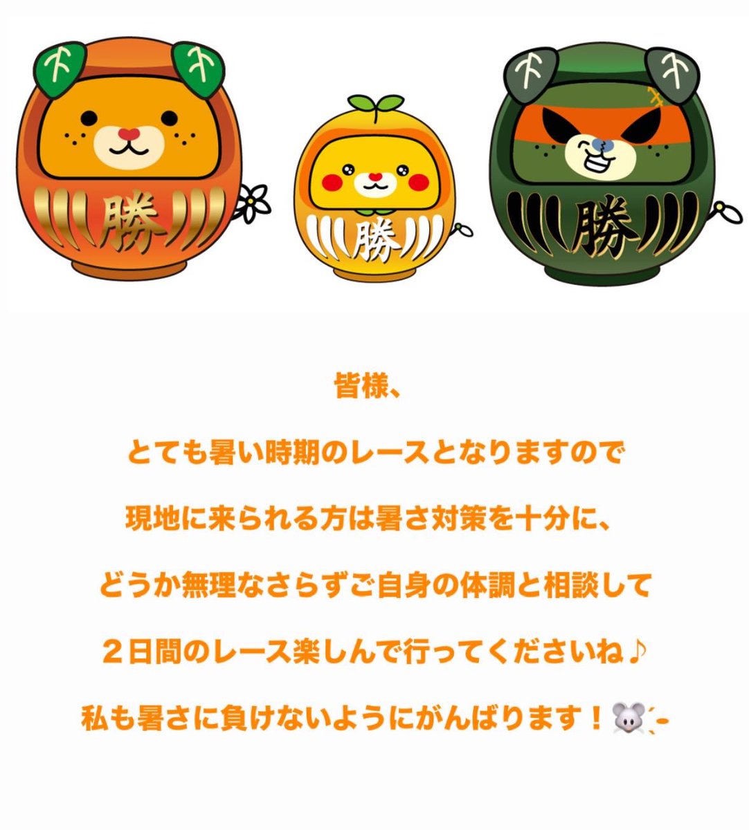 はちわれさん専用 ちいわれさん専用 SHUTTO シュット NLC ちいかわ ハチワレ×ラッコ 開梱