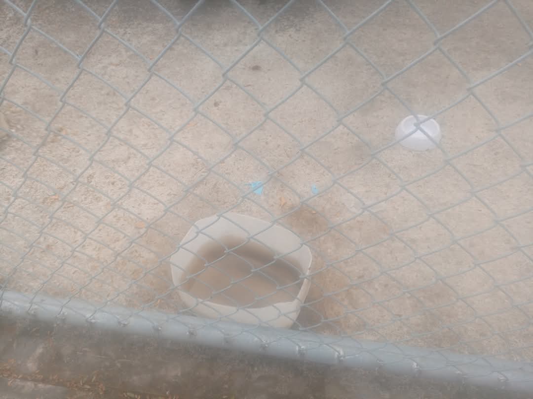 carmitafernandez tweet media