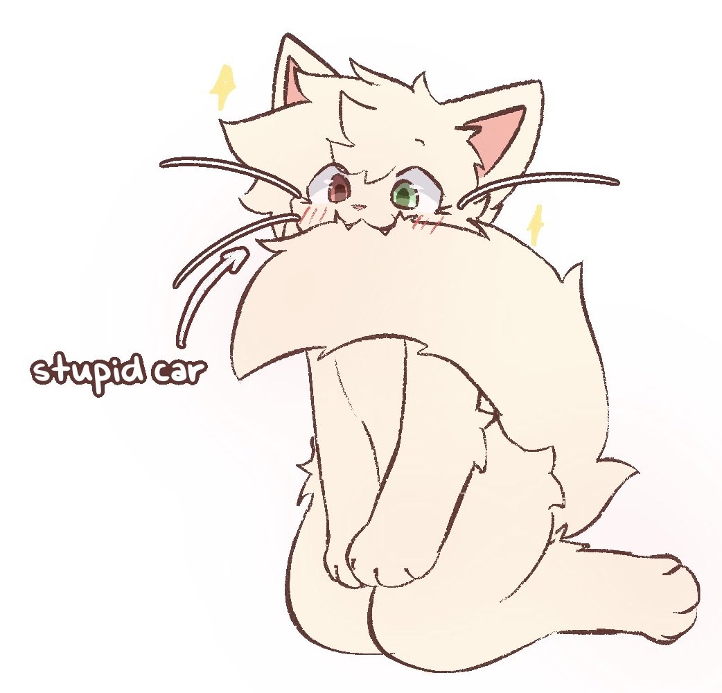 aarelthings's tweet image. happy birthday to an awesomely dumb kitty!!
@flurithekitty