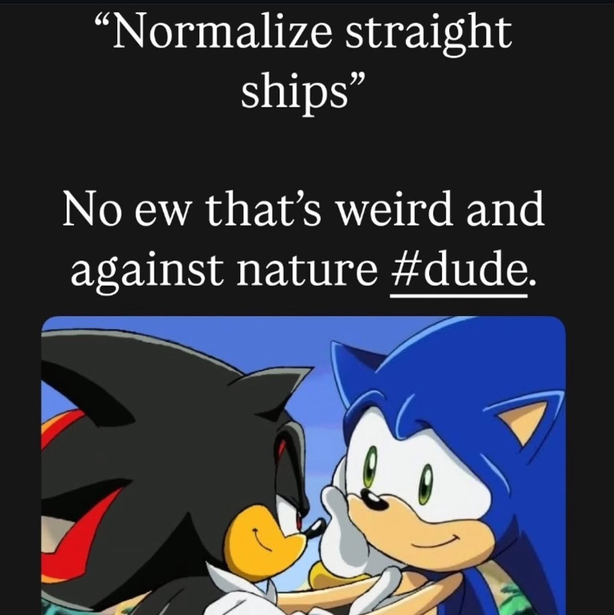 prjctshads's tweet image. 